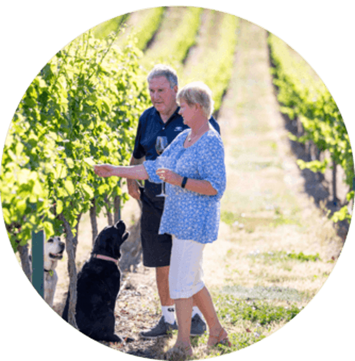 Lowburn_vineyard_for_Pinot_Noir